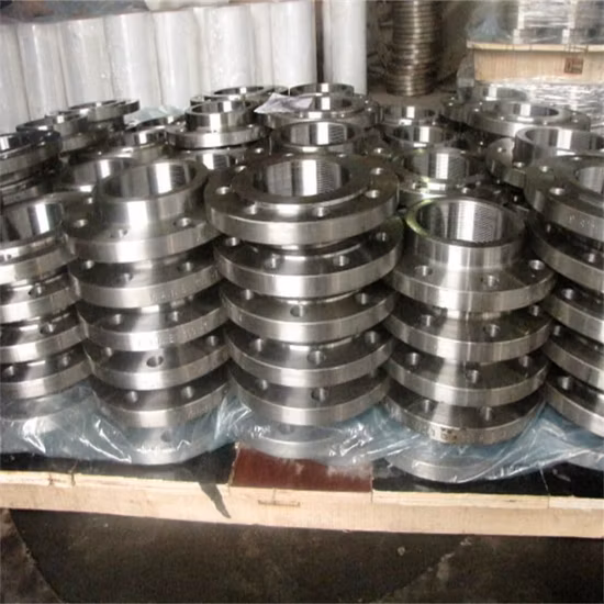 ANSI DIN EN1092 탄소강 단조 파이프 So/Weld Neck/Plate/Thread/Lap Joint Flange with Black Paint